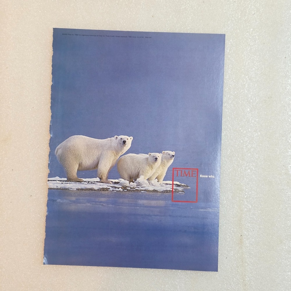Vintage 2004 Time Magazine Print Ad Polar Bear Iceberg Arctic Ocean 8x10.5